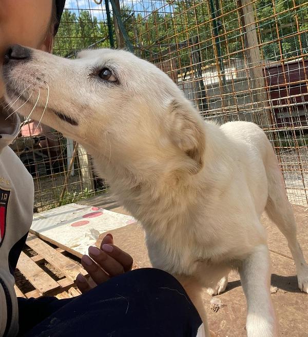 10 KILI DI AMORE : PLUTO Foto 4